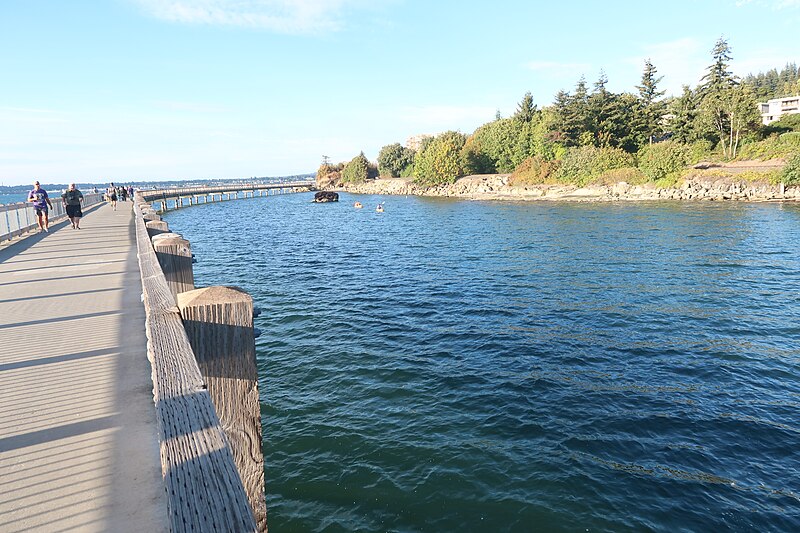 The Bellingham Boardwalk: The Heartbeat of Our City