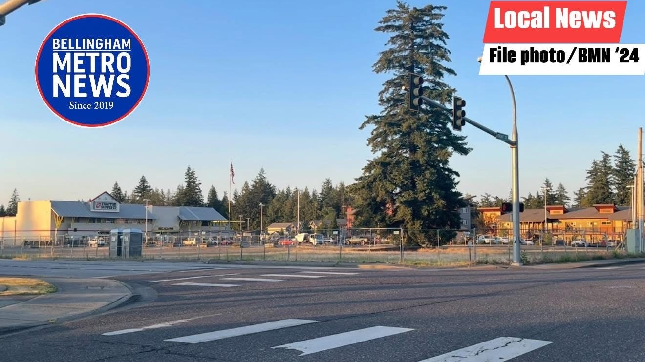 UPDATE: 14-Year-Old Taken Into Custody After Attempted Traffic Stop Leads to Short Pursuit in Lynden